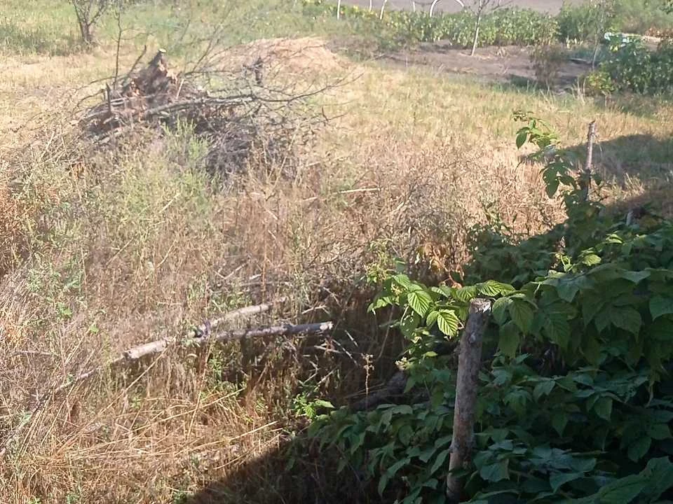 Будинок. Харків, Прозаїчний в'їзд (Ціолковського)
