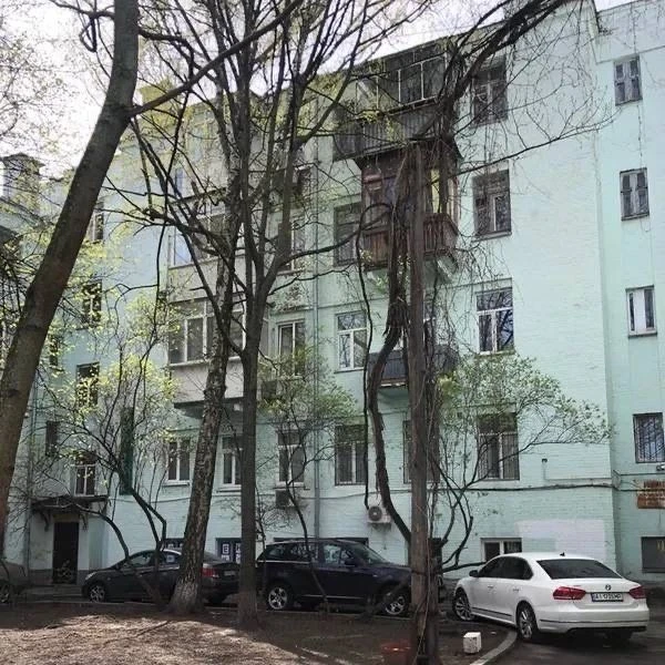 Windows on Hrushevskoho. Apartment for sale opposite Mariinsky.