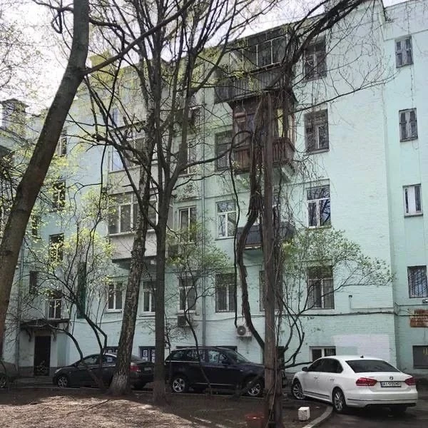 Windows on Hrushevskoho. Apartment for sale opposite Mariinsky.