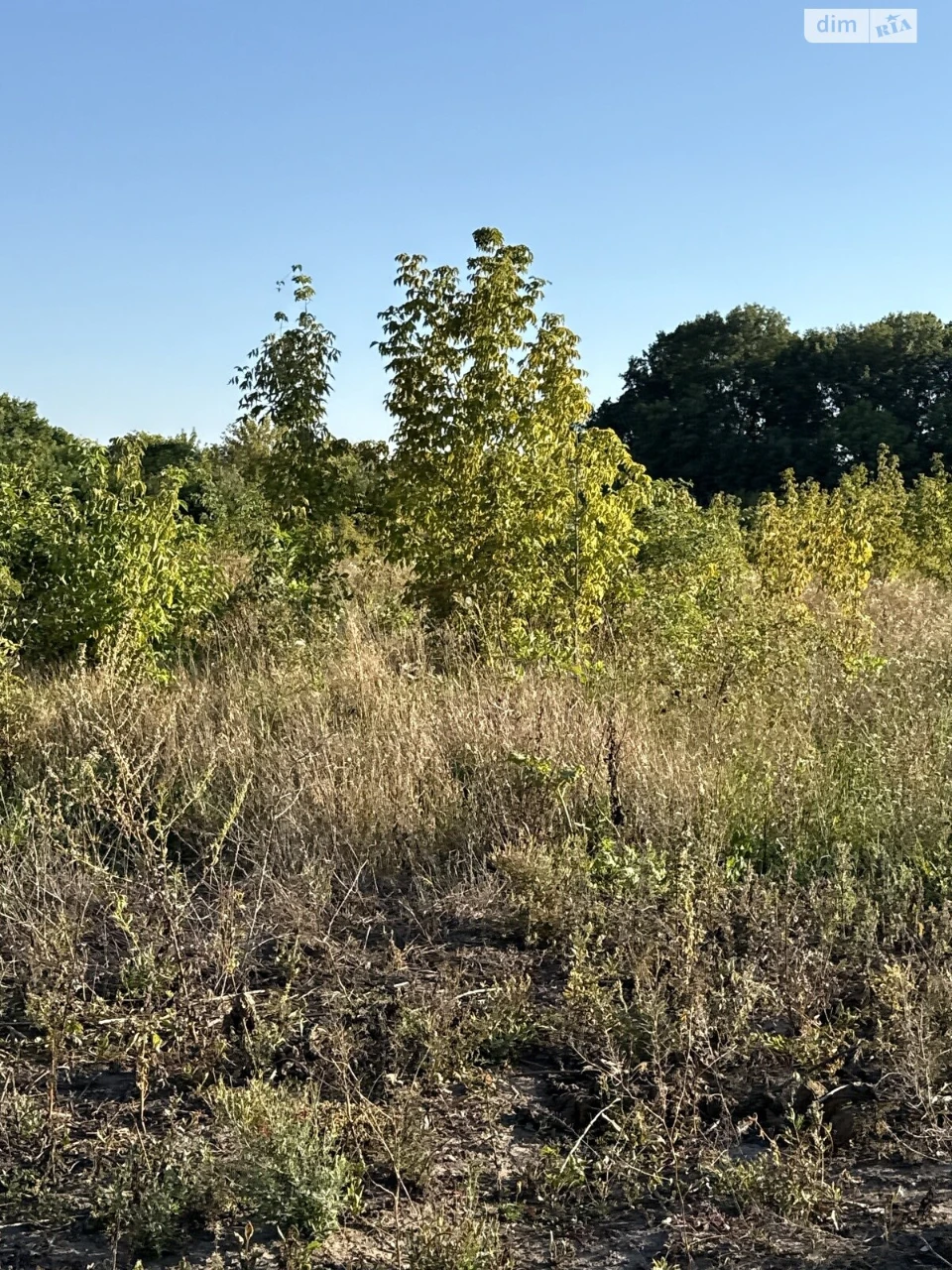 For sale Land for residential development Dalnie Zamostya