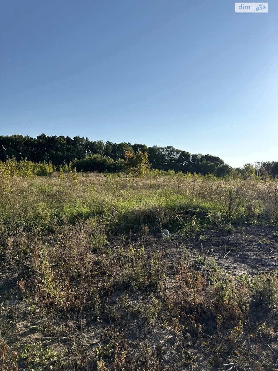 For sale Land for residential development Dalnie Zamostya