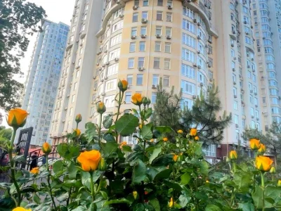 Квартира. Одеса, Французький бульв.