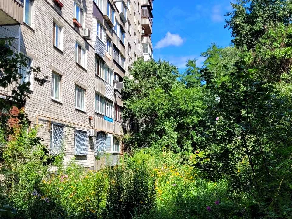 Квартира. Київ, Половецька вул.