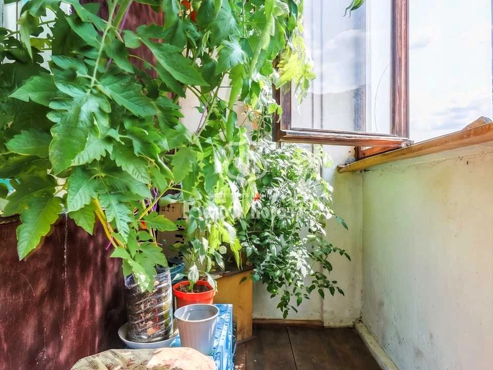 Квартира. Київ, Милославська вул.