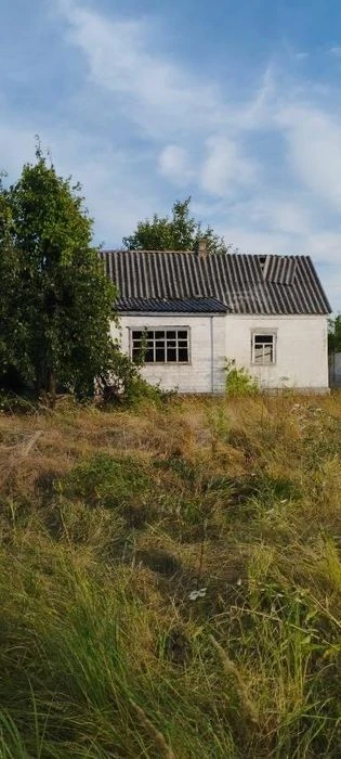 Продам будинок 32м2. ділянкой 12 соток вул. Петриківська на