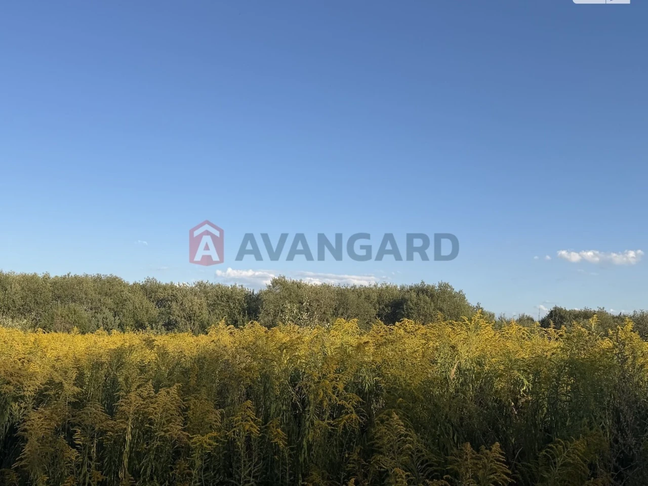 Продаж Земля сільськогосподарського призначення