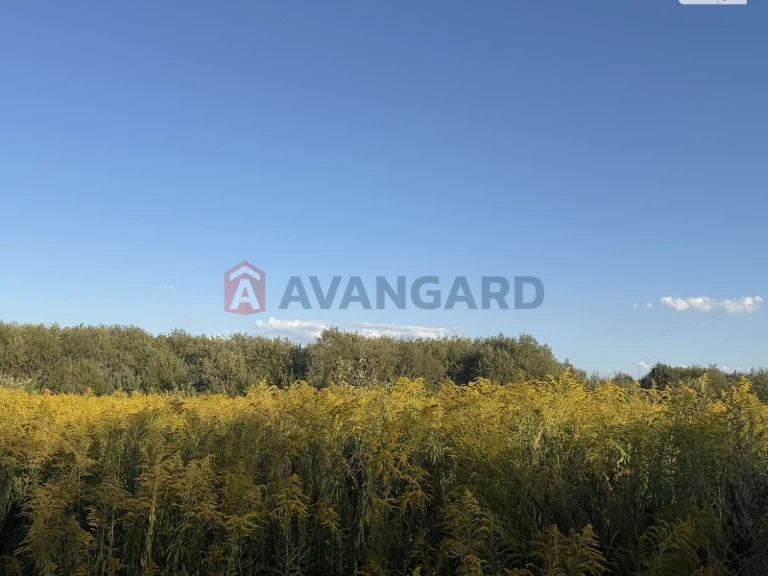 Продаж Земля сільськогосподарського призначення