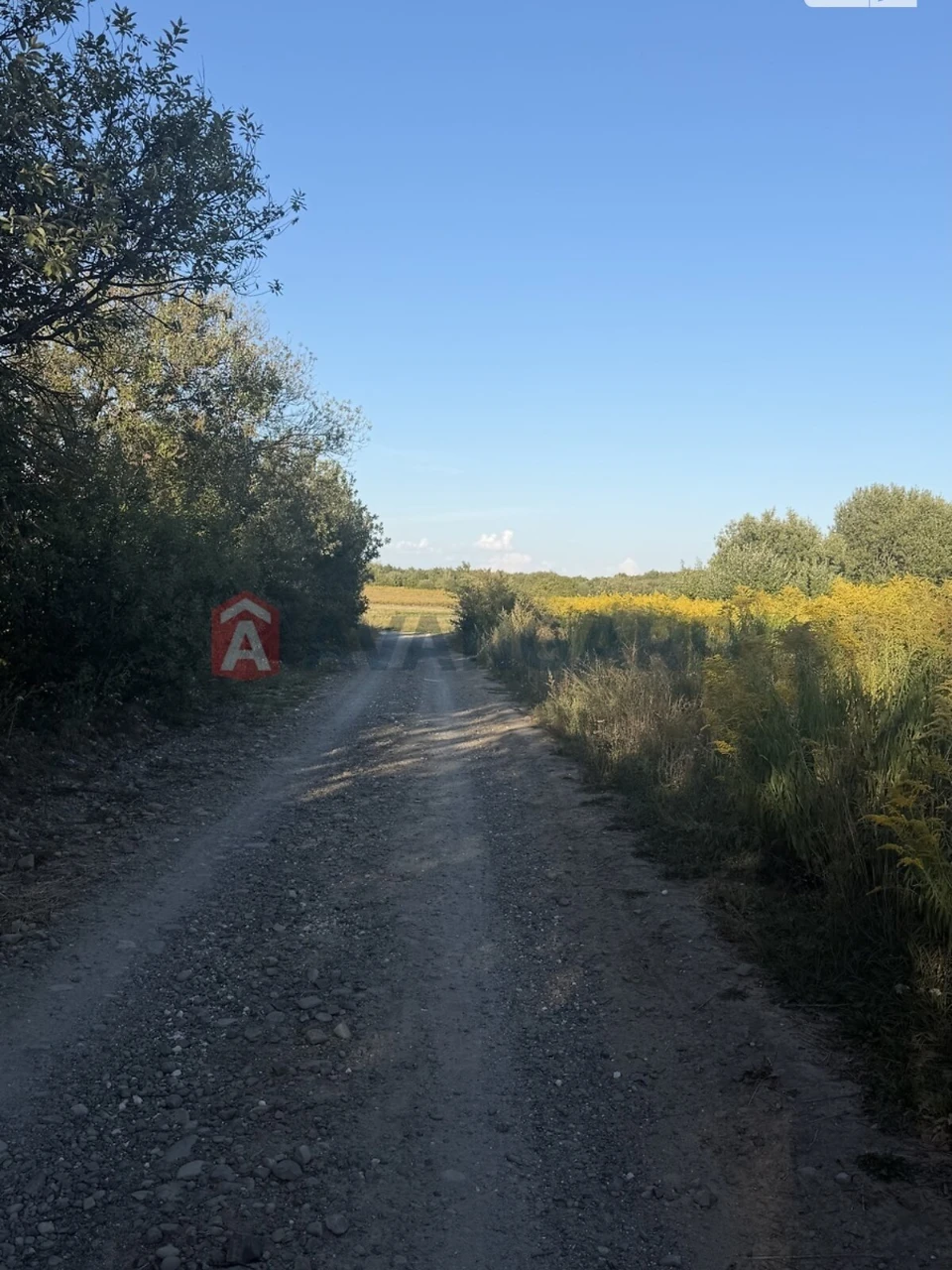 Продаж Земля сільськогосподарського призначення