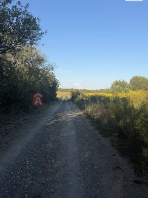 Продаж Земля сільськогосподарського призначення