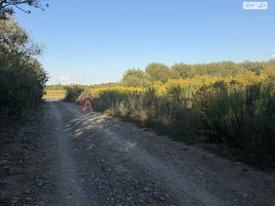Продаж Земля сільськогосподарського призначення