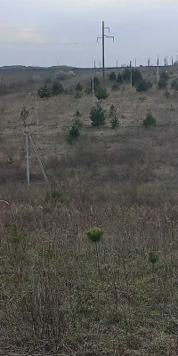 Земельна ділянка в масиві Київський 10 сот.