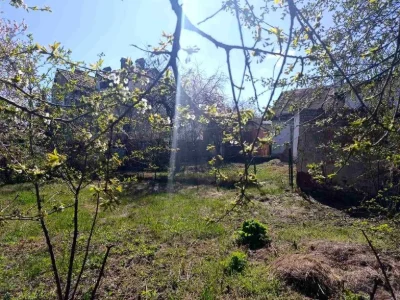 Будинок. Львів, Личаківська вул. ()