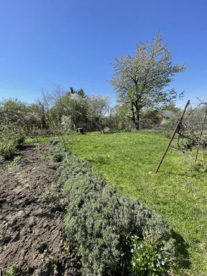 Продаж дачної ділянки поблизу міського озера