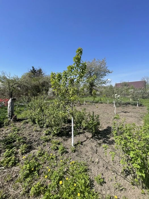 Продаж дачної ділянки поблизу міського озера