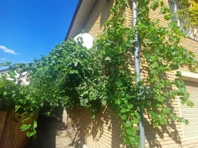 Будинок. Запоріжжя, Санаторна вул.