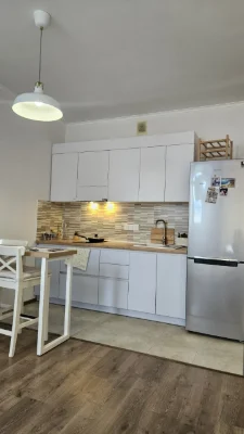 Аренда студии 33 м², Елены Пчилки ул., ул.7