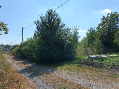 земельна ділянка Лезнево Лєзнєво  8соток