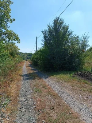 земельна ділянка Лезнево Лєзнєво  8соток