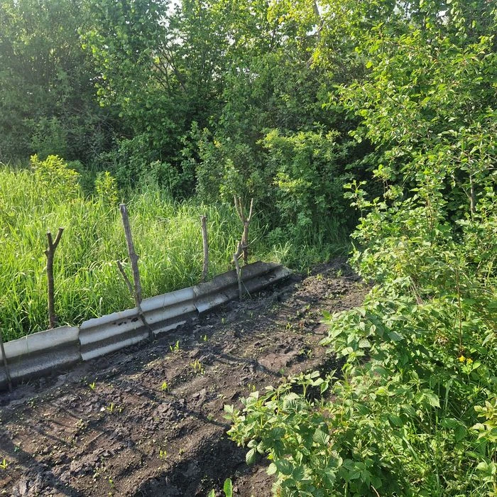 Ділянка для індивідуального дачного будівництва