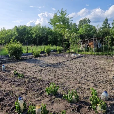 Ділянка для індивідуального дачного будівництва