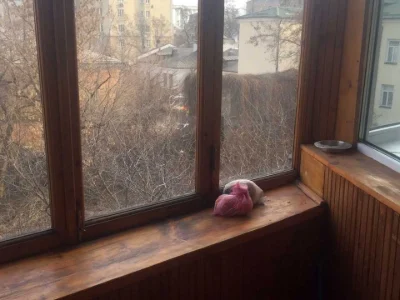 Квартира. Київ, Волоська вул.
