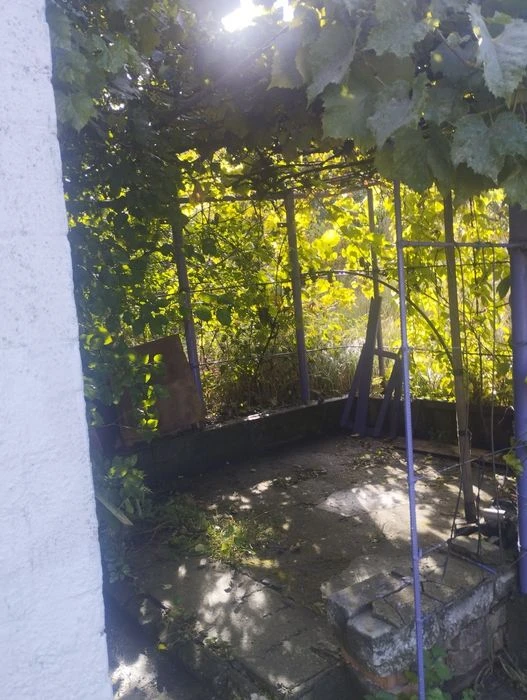 Продам небольшой домик в Ясном