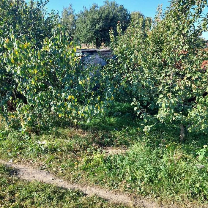 Продам гаражи - 2 разом кооператив АВТОЛЮБИТЕЛЬ вул. Героїв