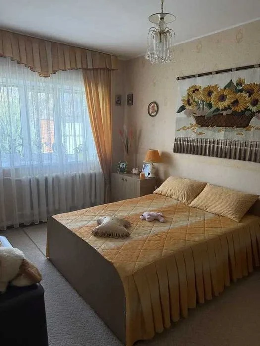 Продаж будинку Браїлки . 2 будинки - 2 поверхи 5 кімнат. №19