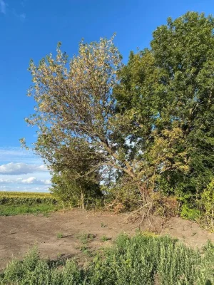Продаж земельої ділянки під комерцію, 23 сотки біля траси, м