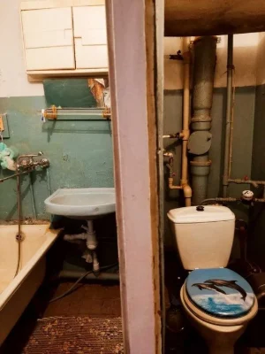 Selling 1-room apartment Kholodnaya Gora, Navchalna (Mendeleeva) street. is-regardless