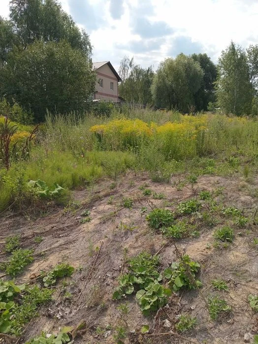 продам у Києві 3.5 сотки з вагончиком, Жуляни (вул. Повітроф