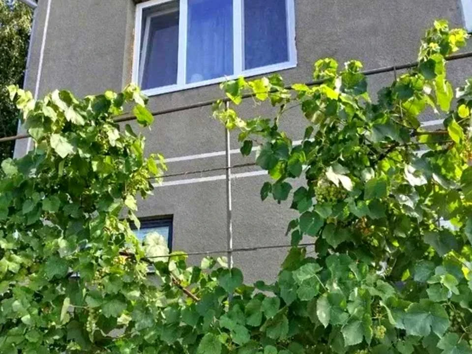 Будинок. Кропивницький, Одеська вул.