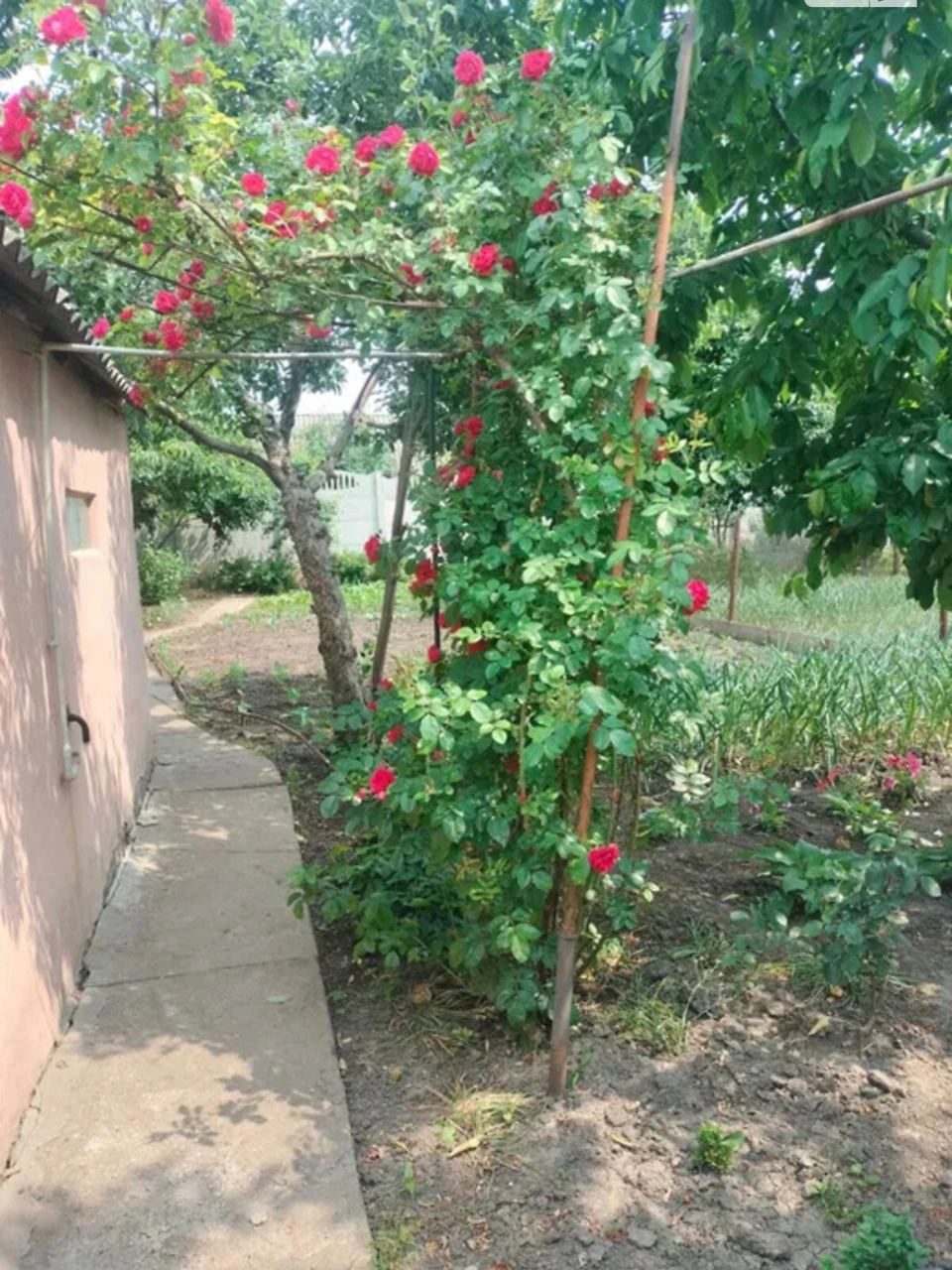 Продаж Частина будинку