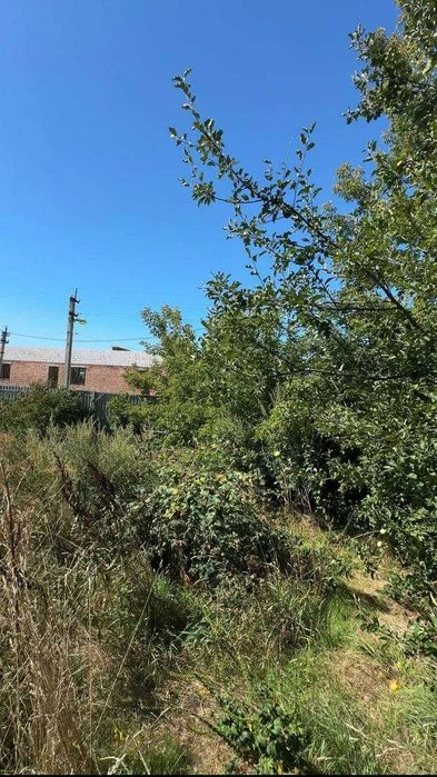Продам земельну ділянку 15 сот "Дивокрай"