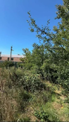 Продам земельну ділянку 15 сот "Дивокрай"