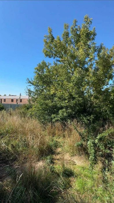 Продам земельну ділянку 15 сот "Дивокрай"