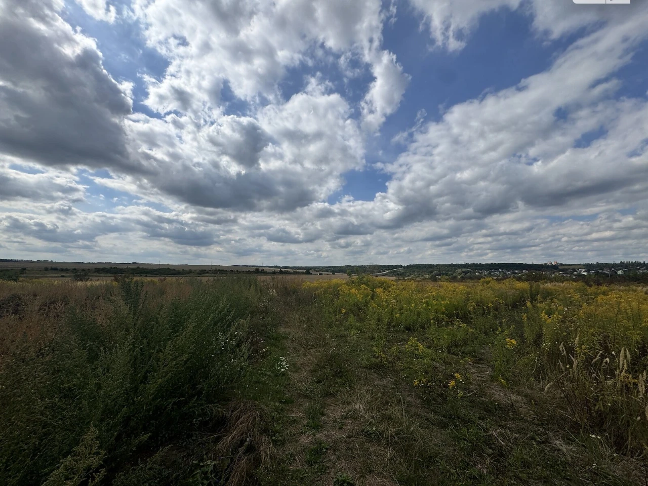 Продаж Земля сільськогосподарського призначення Ружична