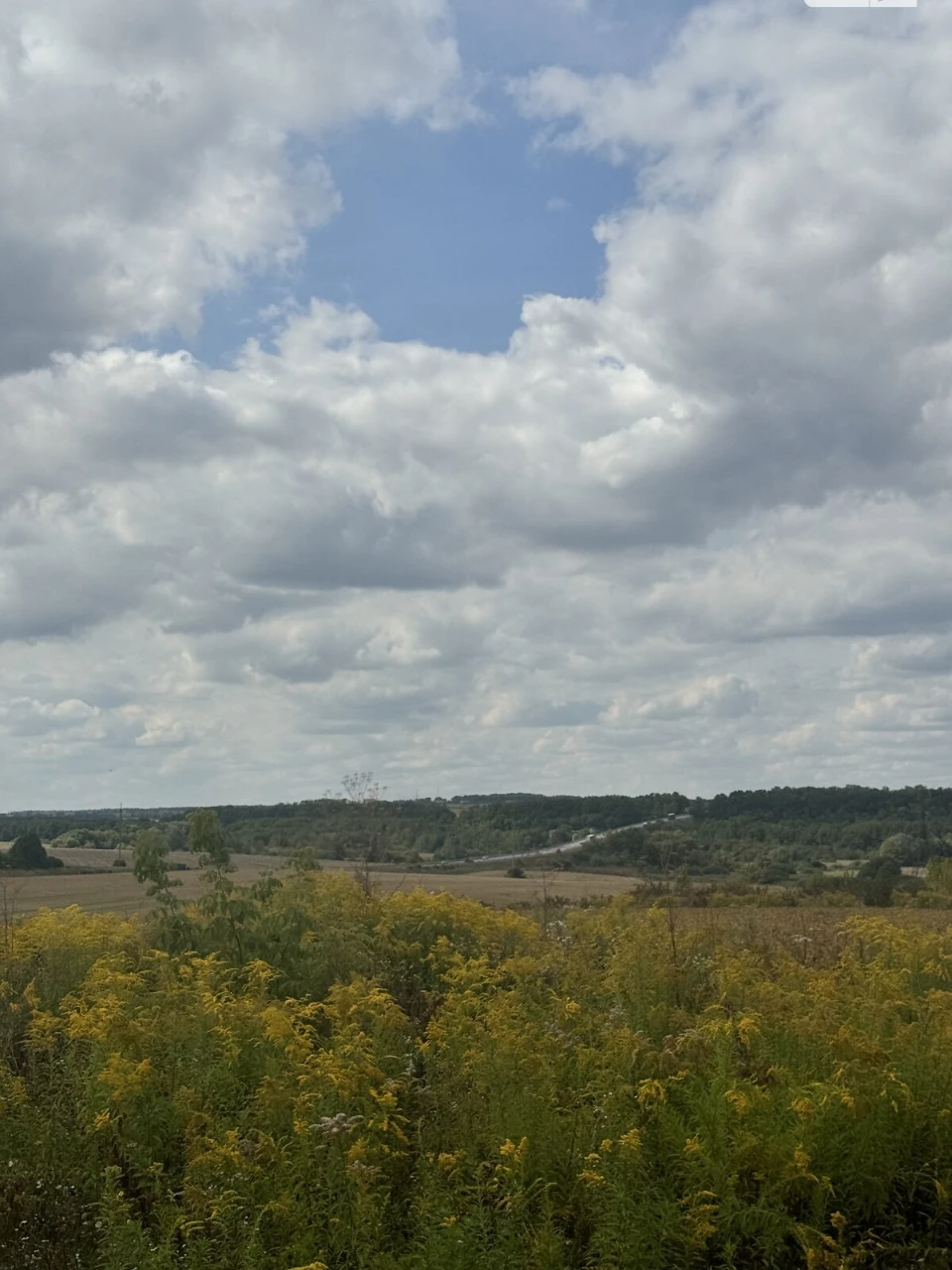 Продаж Земля сільськогосподарського призначення Ружична