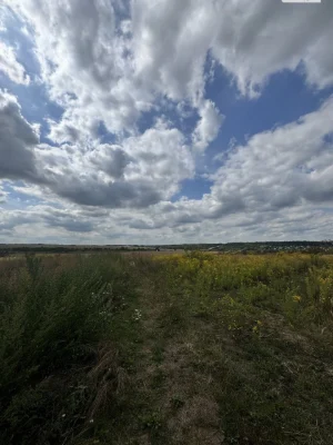 Продаж Земля сільськогосподарського призначення Ружична
