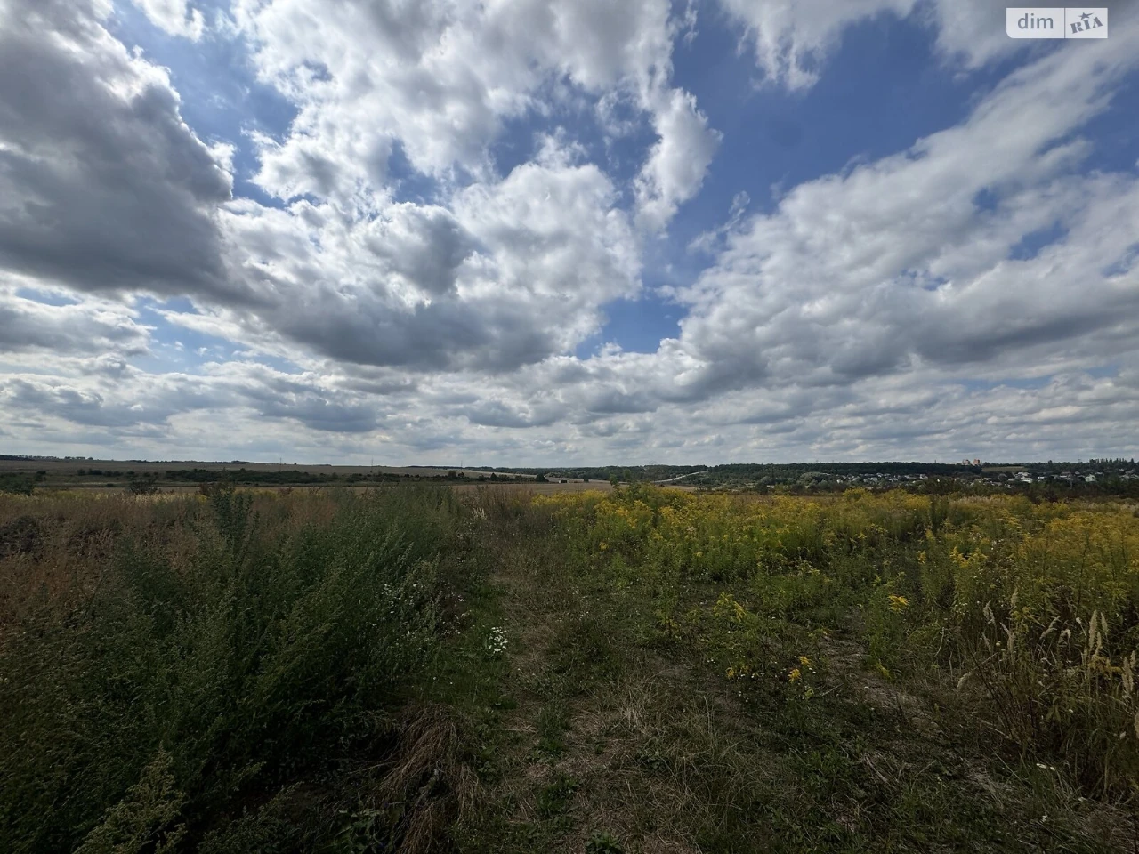 Продаж Земля сільськогосподарського призначення Ружична