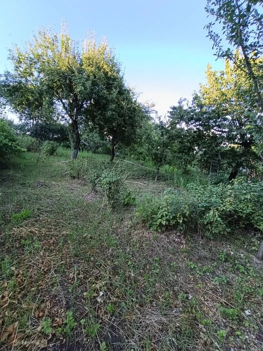 Терміново продам дачу Клокучка з будинком!