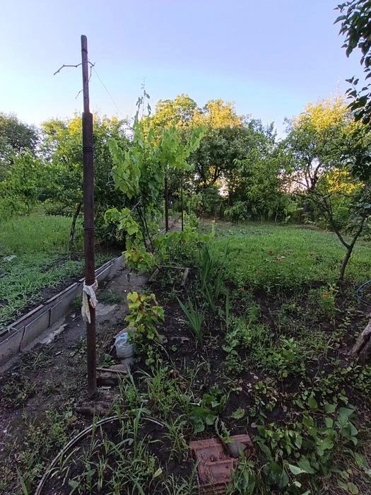 Терміново продам дачу Клокучка з будинком!