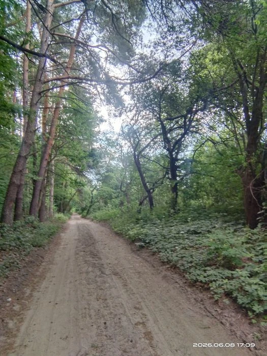 12 сот Клепарів перша лінія від лісу