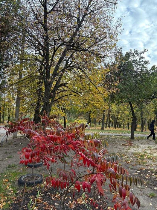 Продам 1 к. квартиру Нові Будинки