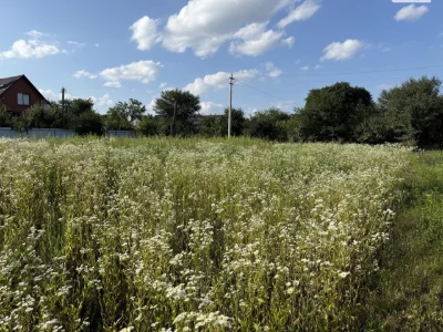 Продаж Ділянка під житлову забудову Гречани ближні
