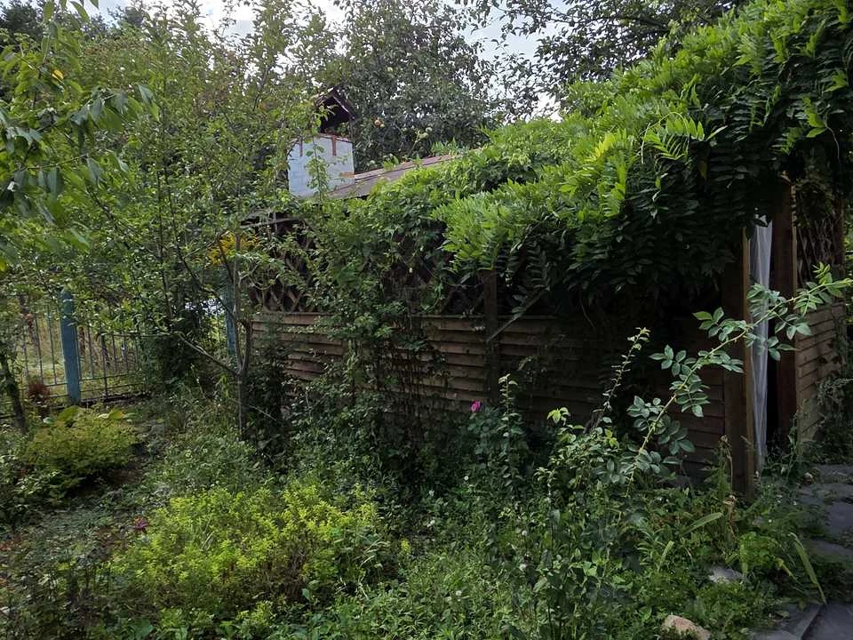 Будинок. Суми, Олдиш