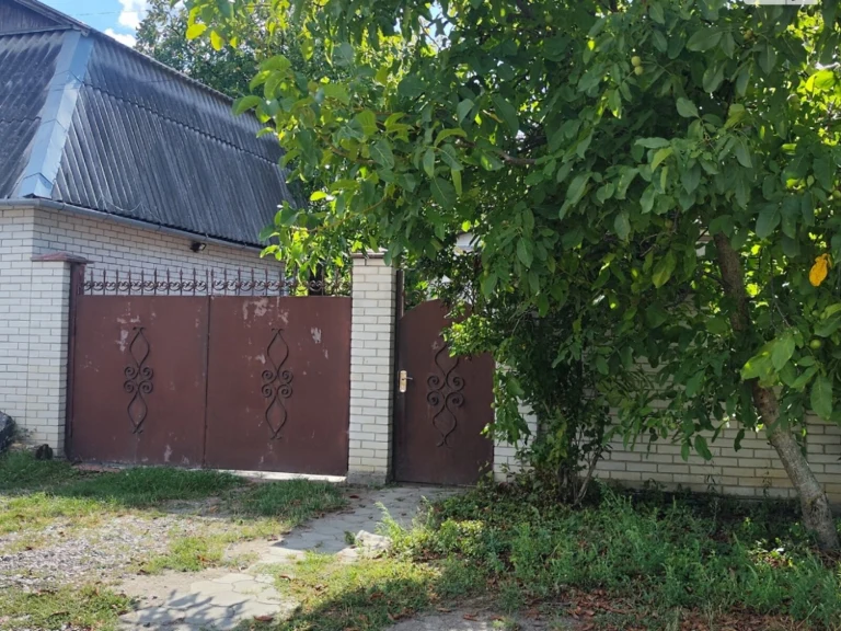 Продаж Дім Мальованка