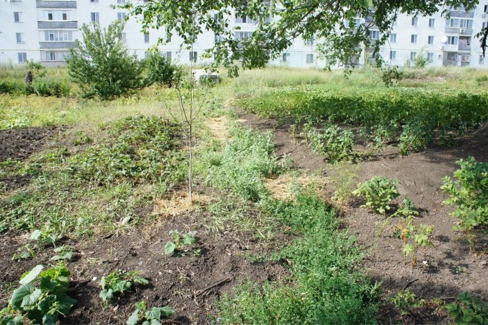 Продаж земельної ділянки на березі Кулінічівського ставка