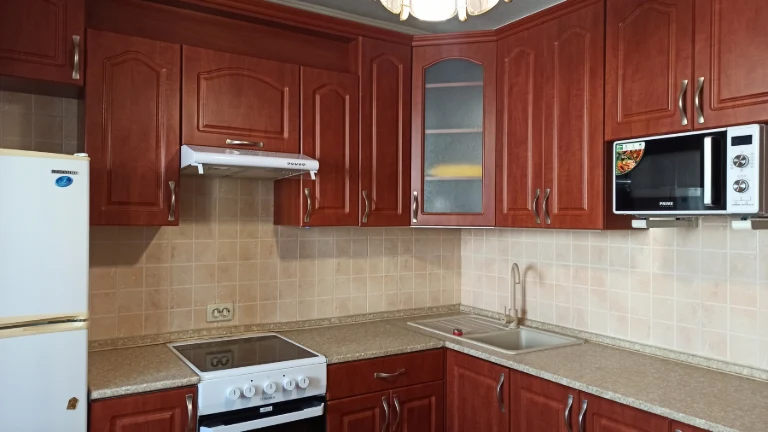 Аренда 2-комнатной квартиры 49 м², Пантелеймона Кулиша ул.,