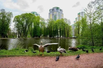 Продаж 2к квартири, ЖК Паркове місто, Київ, Поділ, Оболонь,